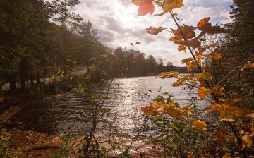 Renting a cottage : 6 unbeatable arguments