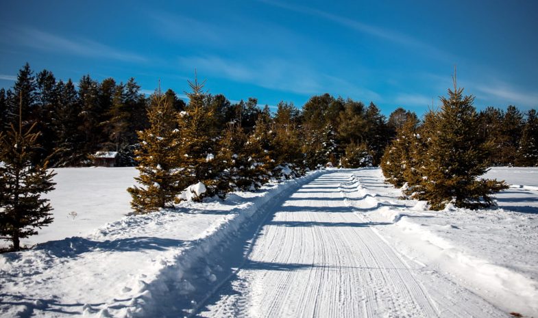 couverture article nature min